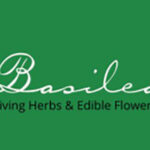 Basilea Logo 1 150x150