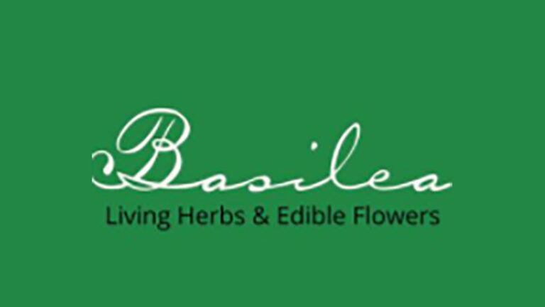 Basilea Logo 1 768x432
