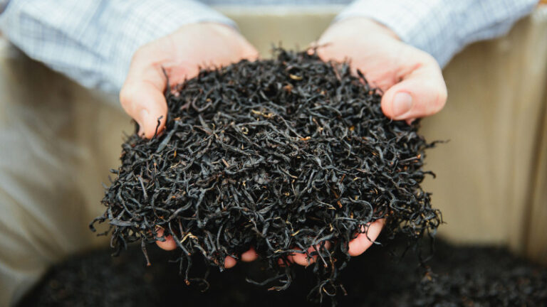 arakai estate3 1 768x432