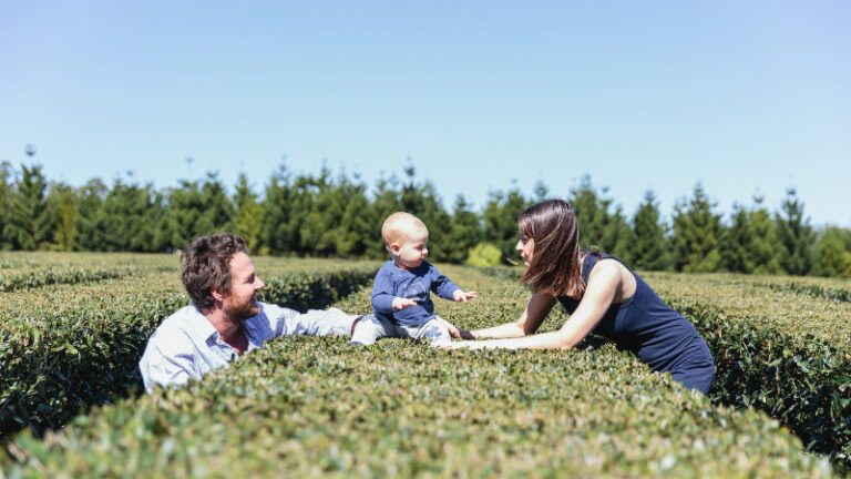 arakai estate4 1 768x432