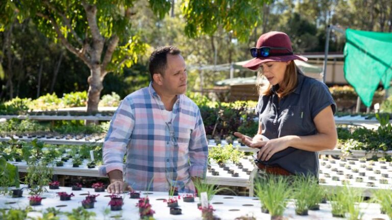 basilea living herbs5 1 768x432