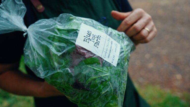 blue dog farm2 1 768x432