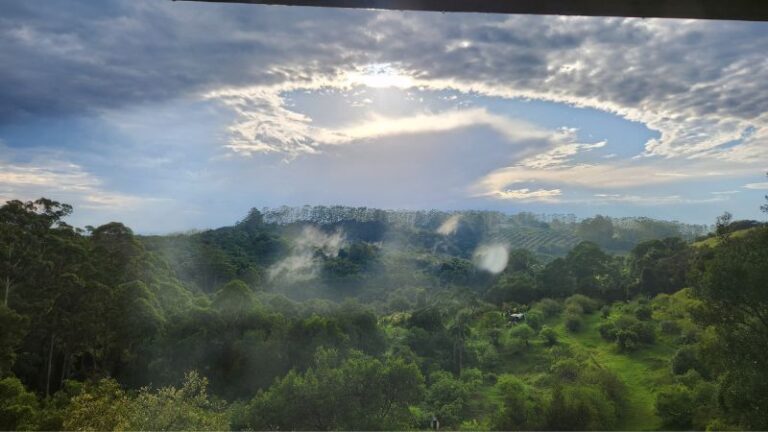 harefield horticulture3 1 768x432