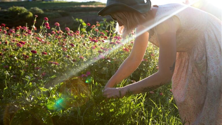 loop growers1 1 768x432
