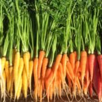loop growers4 1 150x150