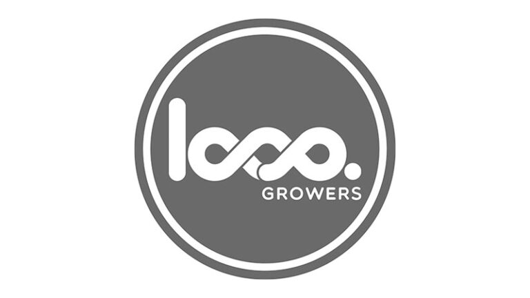 loop logo 1 768x432