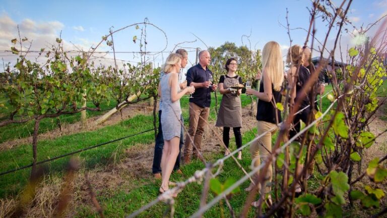 oceanview estate3 1 768x432