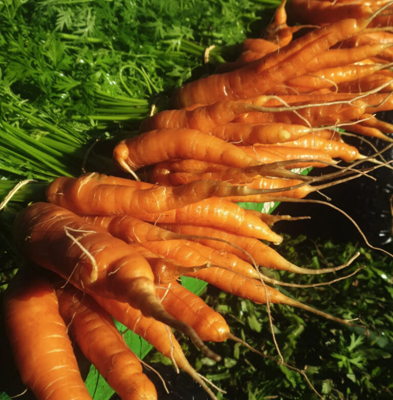 Screen Shot 2025 09 08 at 12.56.36 pm 768x782