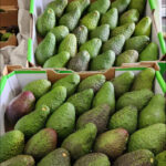 Screenshot 2025 11 18 062803 150x150