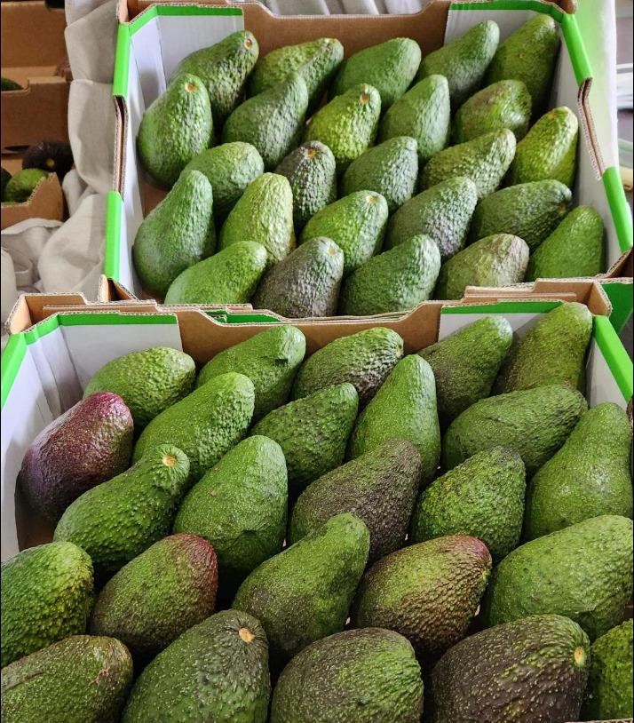 Screenshot 2025 11 18 062803