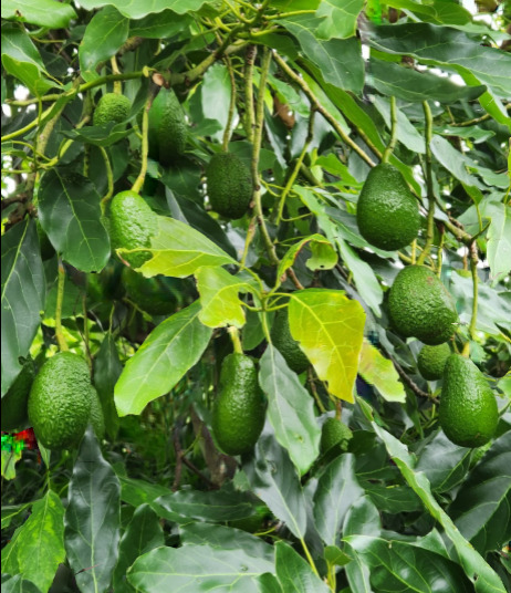 Screenshot 2025 11 18 062820