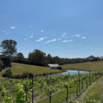 Screenshot 2025 11 18 072213 150x150