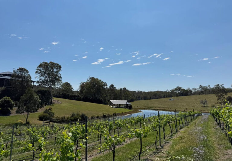 Screenshot 2025 11 18 072213 768x535