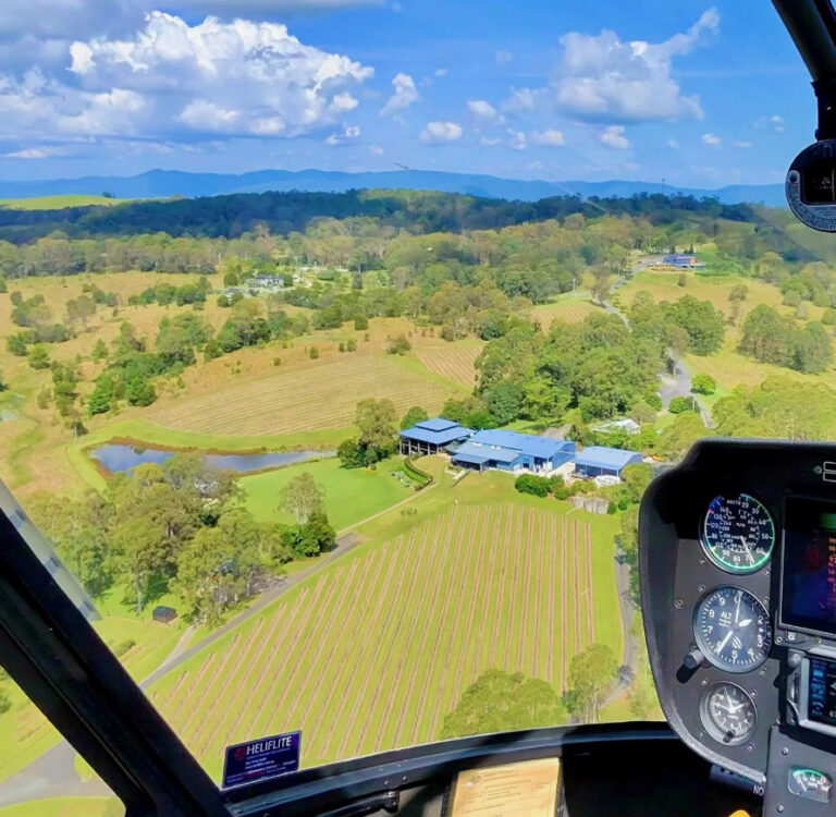 Screenshot 2025 11 18 072329 768x750