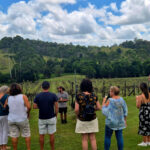 Screenshot 2025 11 18 072444 150x150