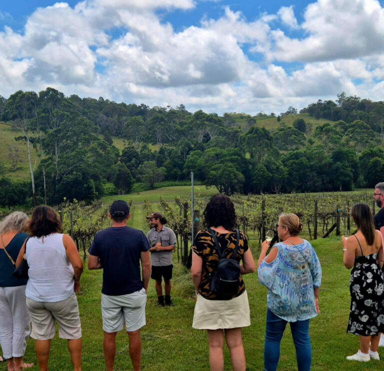 Screenshot 2025 11 18 072444 768x742