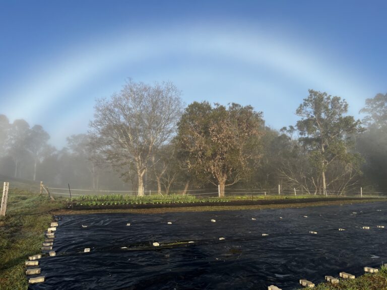 532538772 122107835822968790 4570814096765967957 n 768x576