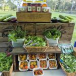 617880623 122140180856968790 6862820570446816139 n 150x150