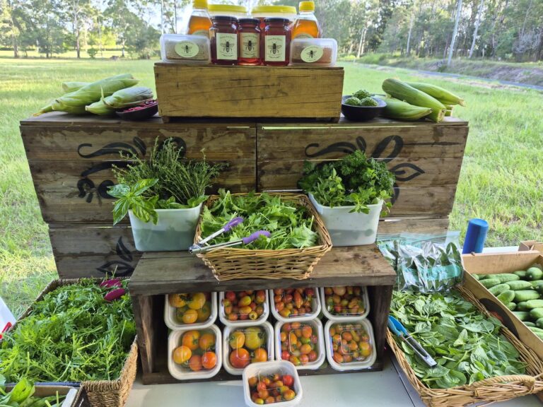 617880623 122140180856968790 6862820570446816139 n 768x576