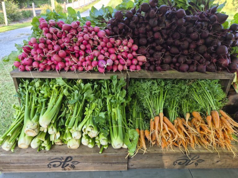 619500256 122140659938968790 2165238436570287291 n 768x576