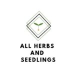 304854270 444847654353062 2260667002862640098 n 150x150