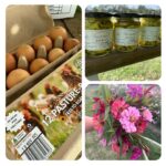 587703252 17992035965855290 4675685663773238653 o 150x150