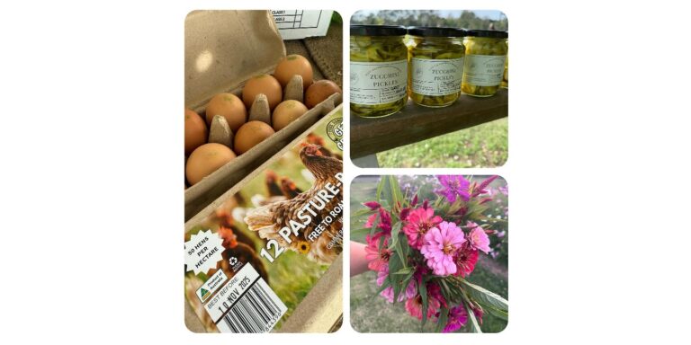 587703252 17992035965855290 4675685663773238653 o 768x384