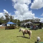 612289108 878336635058658 7184657852696463654 n 150x150