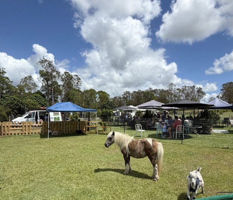 612289108 878336635058658 7184657852696463654 n 768x658