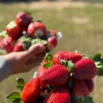 623274379 122111245107201425 749295560162092894 n 150x150