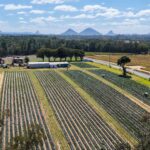 624087858 122111244615201425 234427268641072438 n 150x150