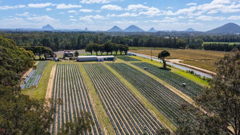 624087858 122111244615201425 234427268641072438 n 768x432