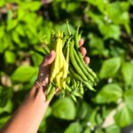 624517494 18192577822342864 8795308882579717284 n 150x150