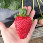 626423337 122111245101201425 2491211396932516236 n 150x150