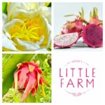 Collage20220105 024300270 iOS 150x150