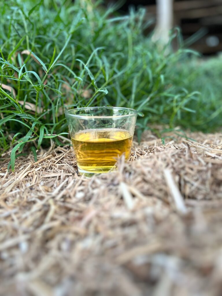 D85D6CE1 A2BC 484F B284 33BF476CCCAB 768x1024