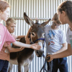 Untitled design 1 min e1747378571712 150x150