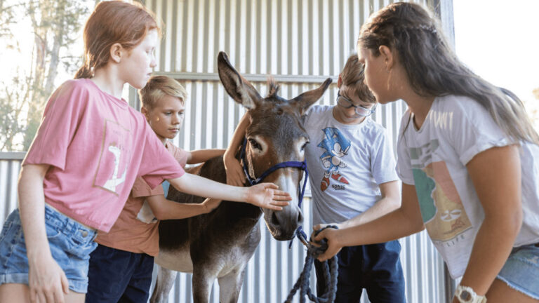 Untitled design 1 min e1747378571712 768x432