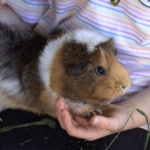 Untitled design min e1747378425894 150x150