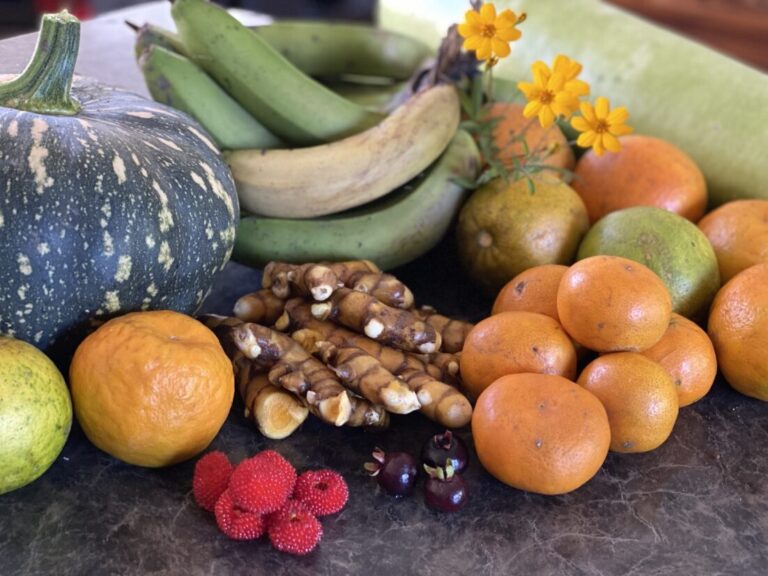 Winter 20220608 041939065 iOS 768x576