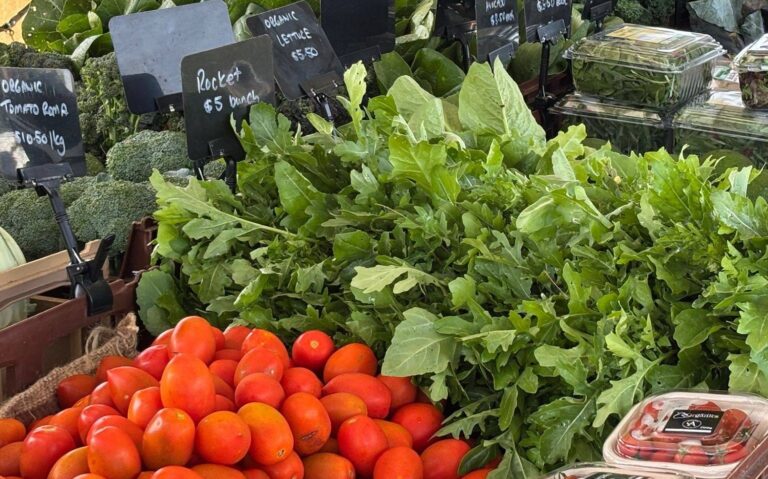 634077420 879426714850691 6712832080903334405 n 2 768x479